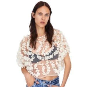 ZARA SM Sheer Floral Lace Truffle Cropped Top
